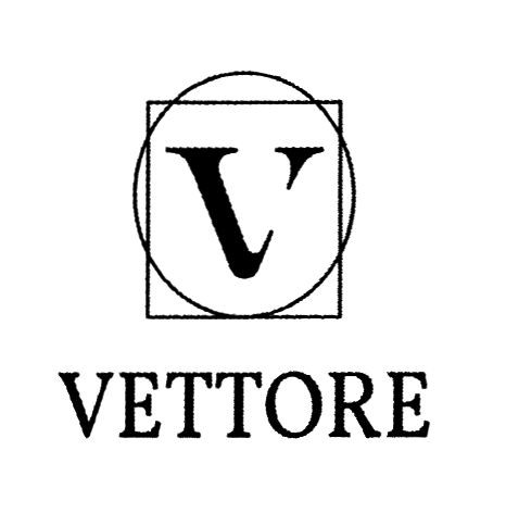 vettore