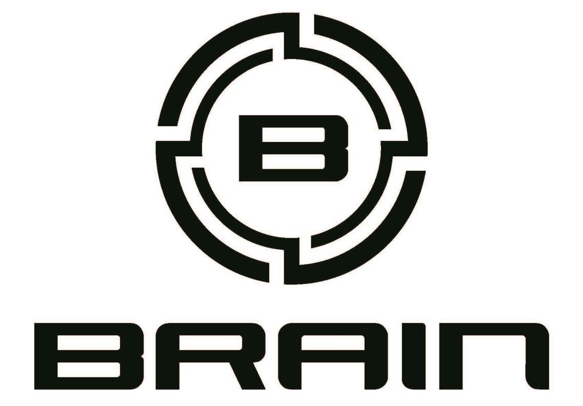 brain