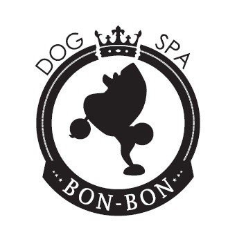 dog spa