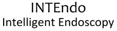 intendo intelligent endoscopy