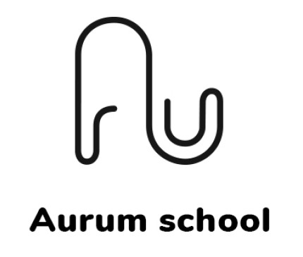 aurum school