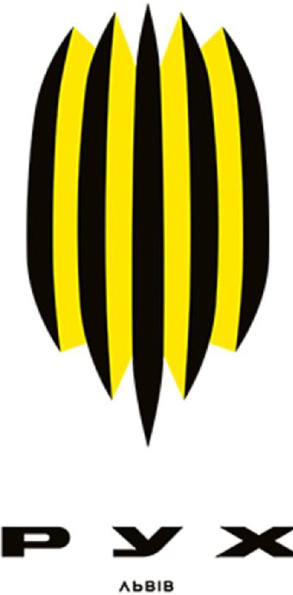 рух львів