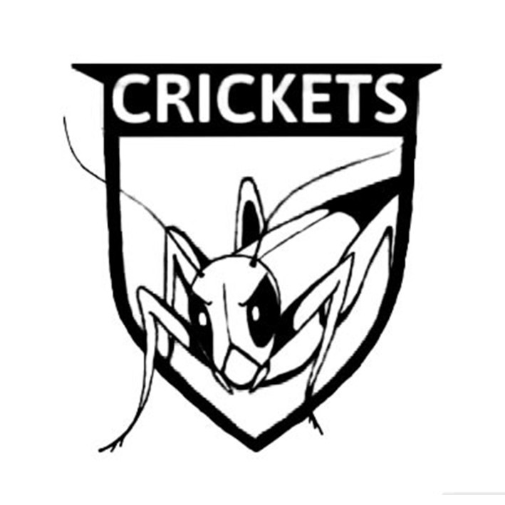 crickets