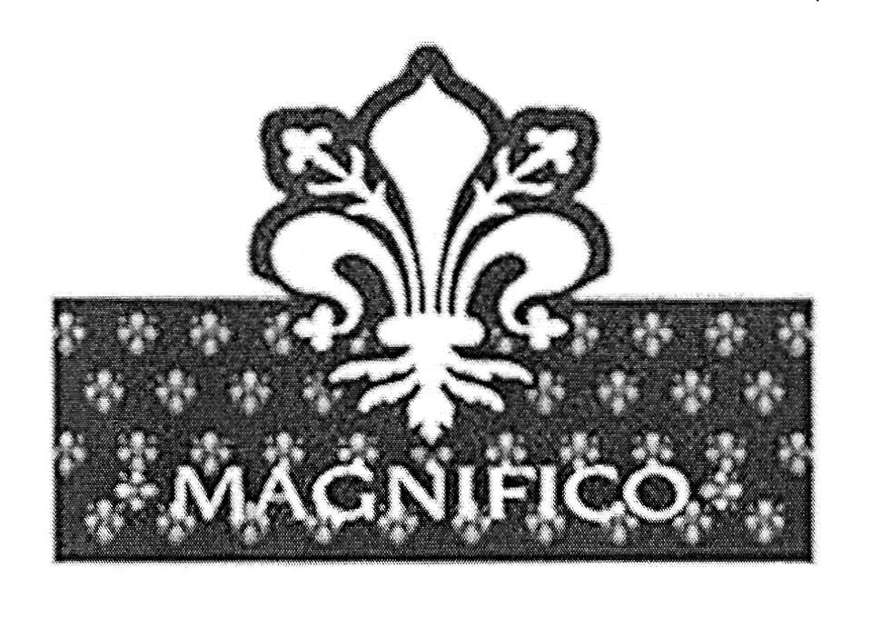 magnifico