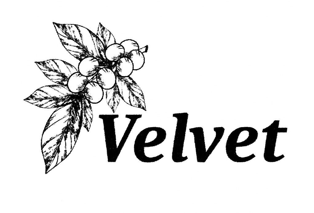 velvet