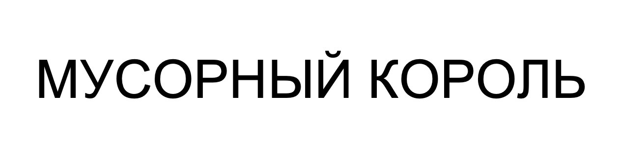 мусорный король