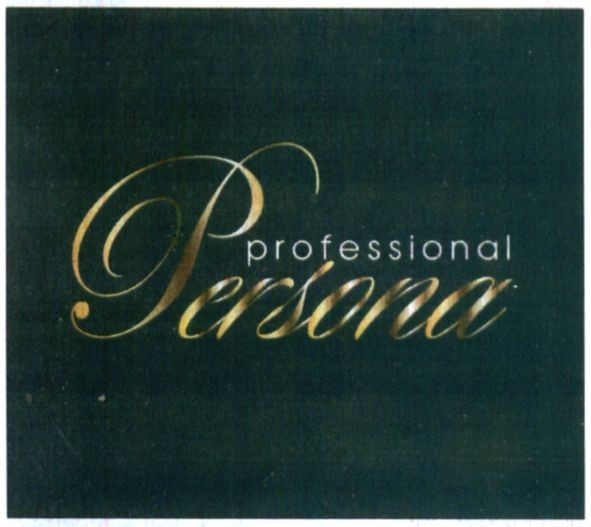 persona professional