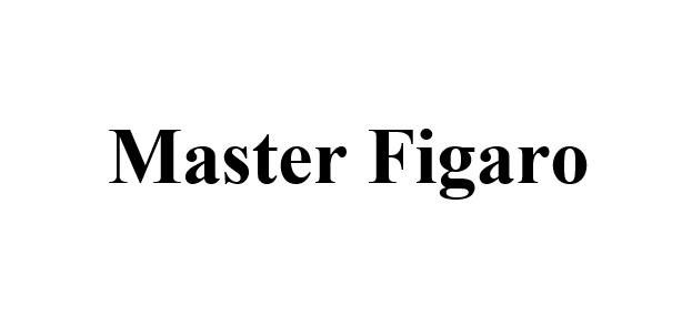 master figaro