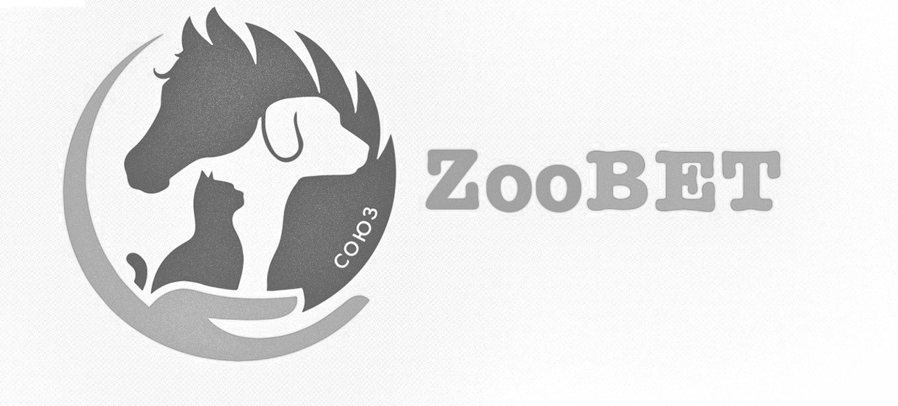 zoobet