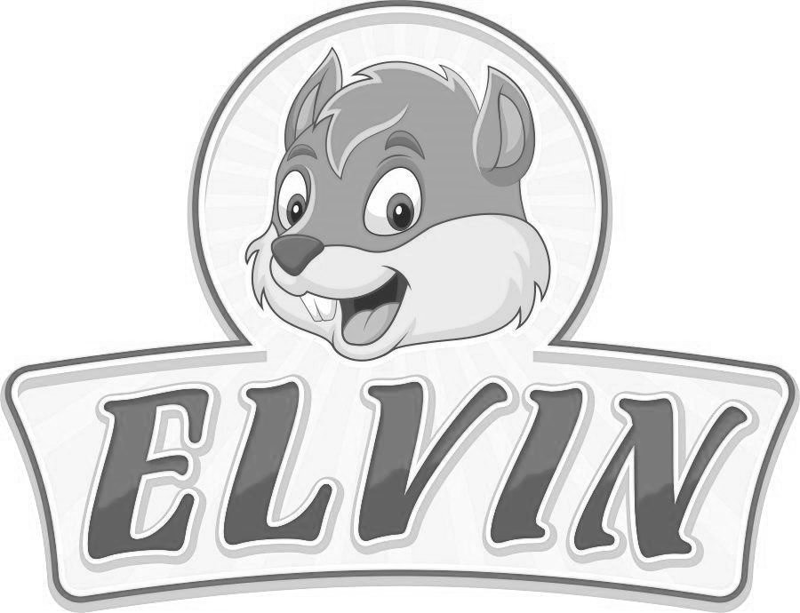 elvin