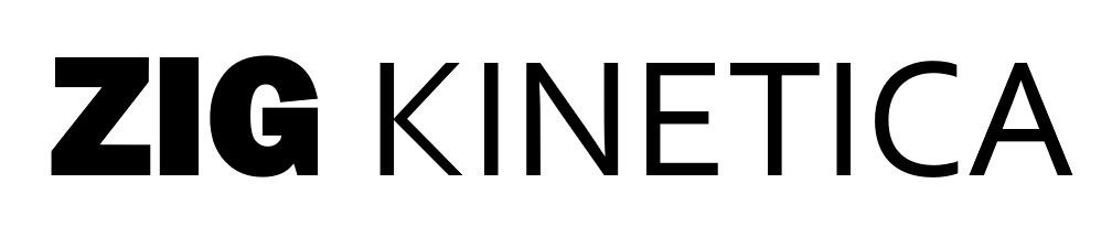 zig kinetica