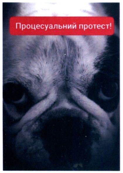 процесуальний протест!