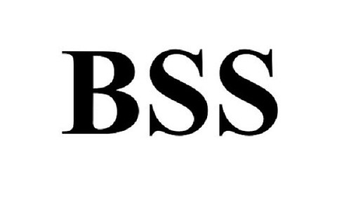 bss