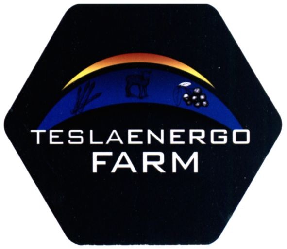 teslaenergo farm