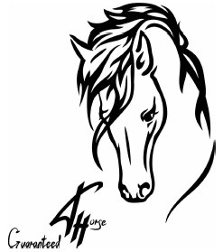 guaranteed ahorse