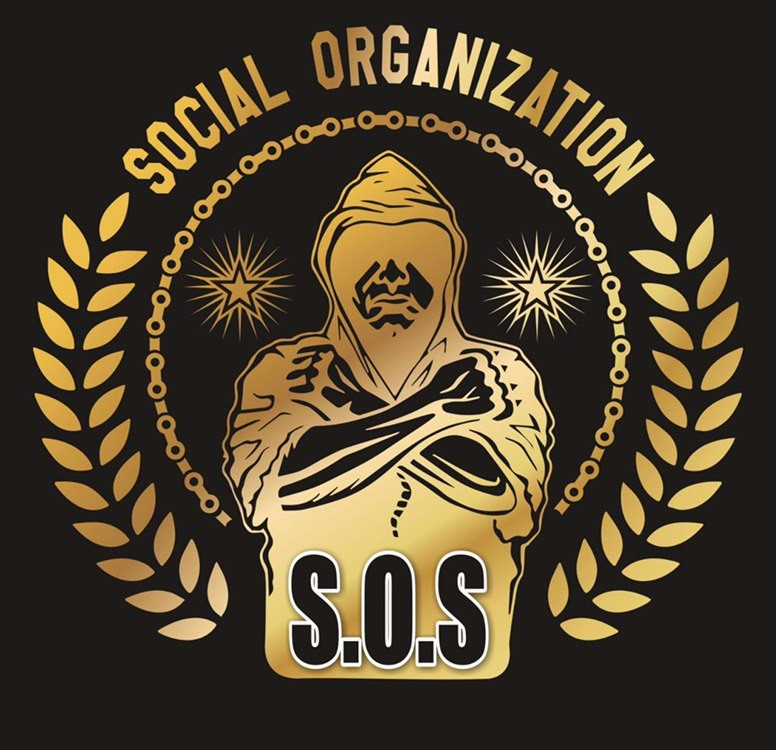 social organization