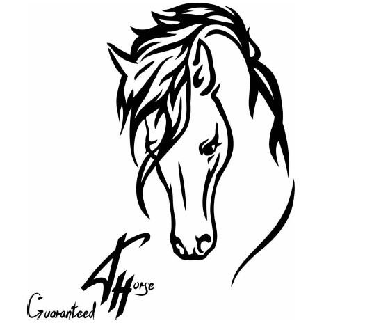 guaranteed ahorse