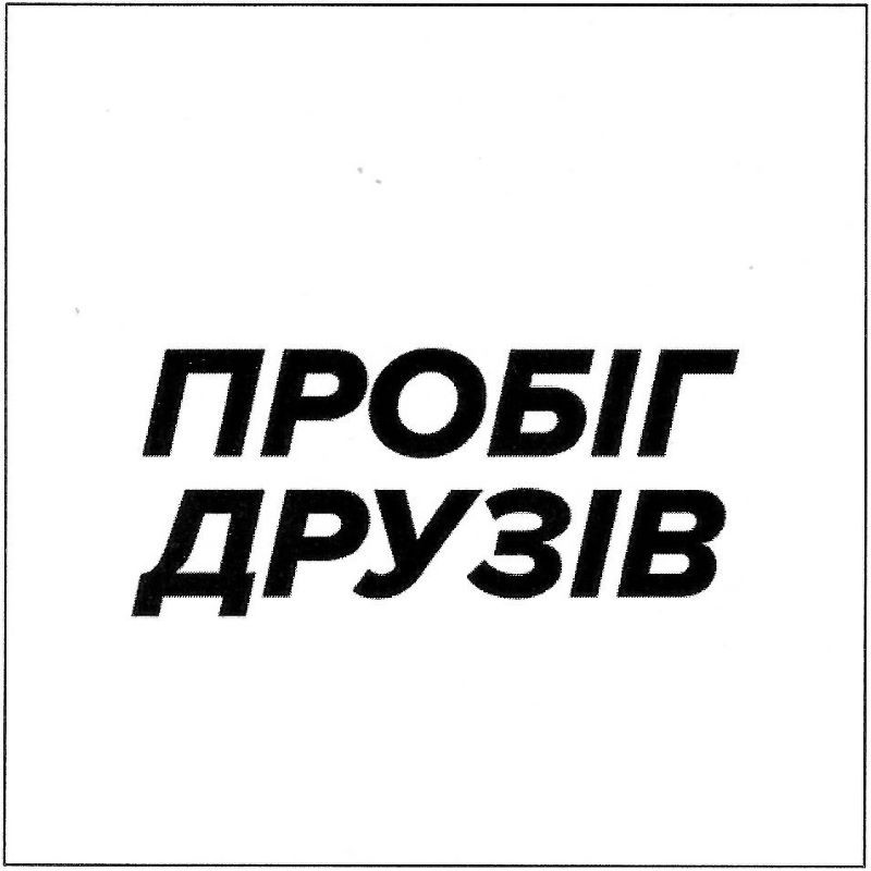 пробіг друзів