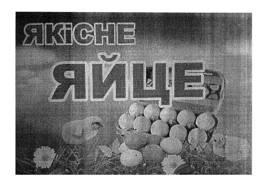якісне яйце