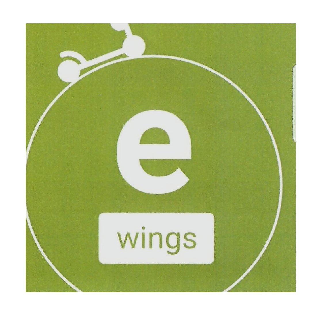 wings