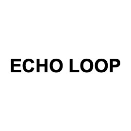 echo loop