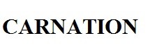 carnation