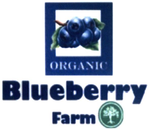 blueberry