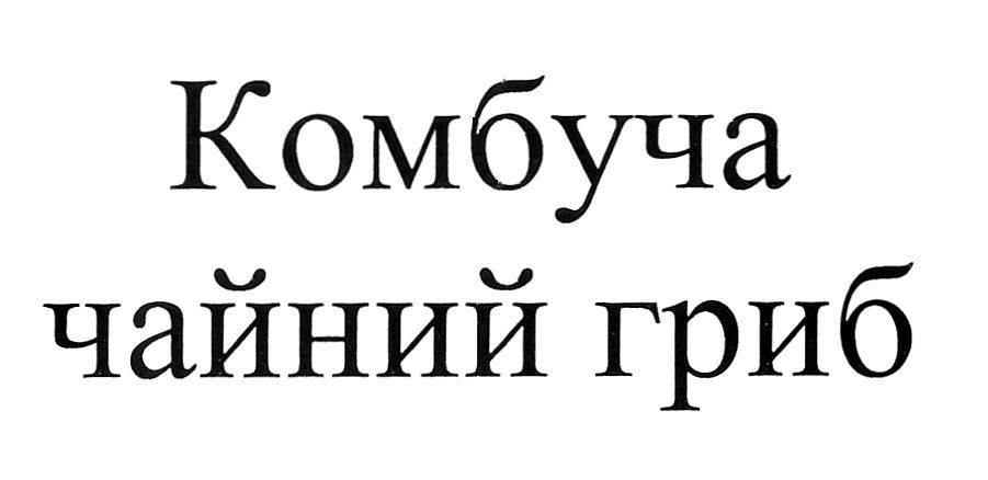 комбуча чайний гриб