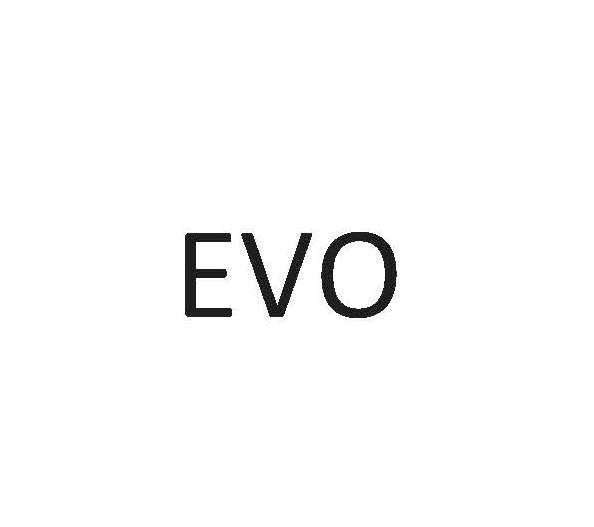 Лого ТМ evo