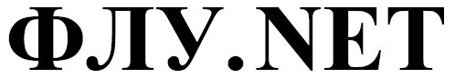 флу.net