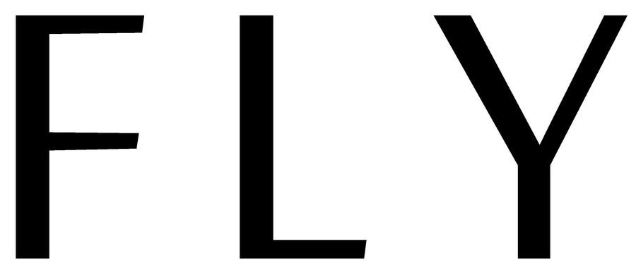 fly