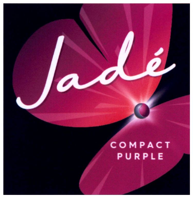 compact purple