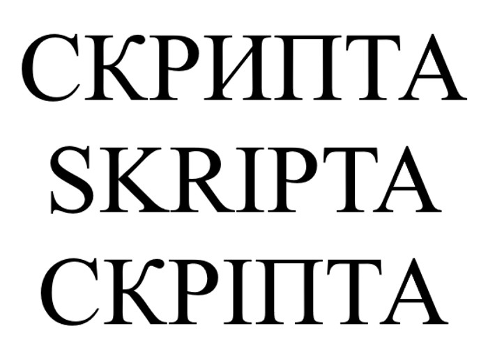 skripta