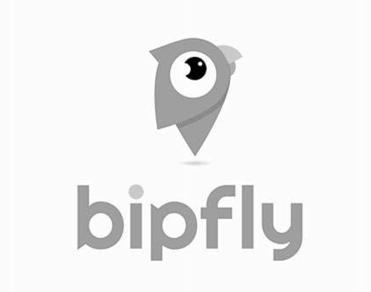 bipfly