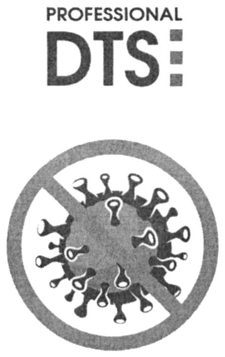 professional dts: