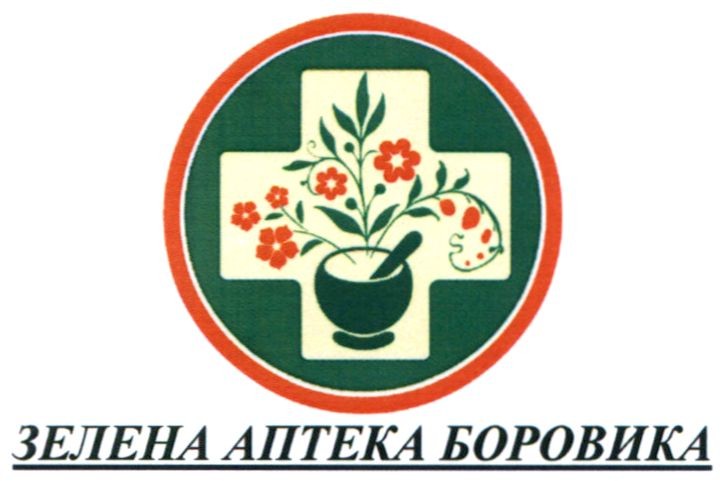 зелена аптека боровика