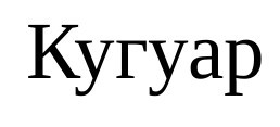 кугуар