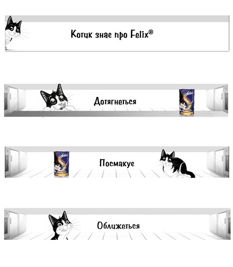 котик знає про felix