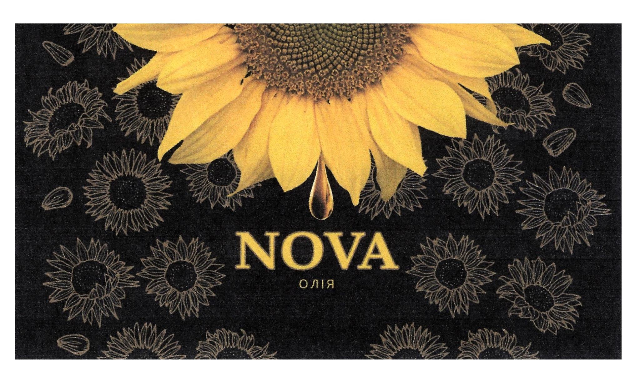 nova
