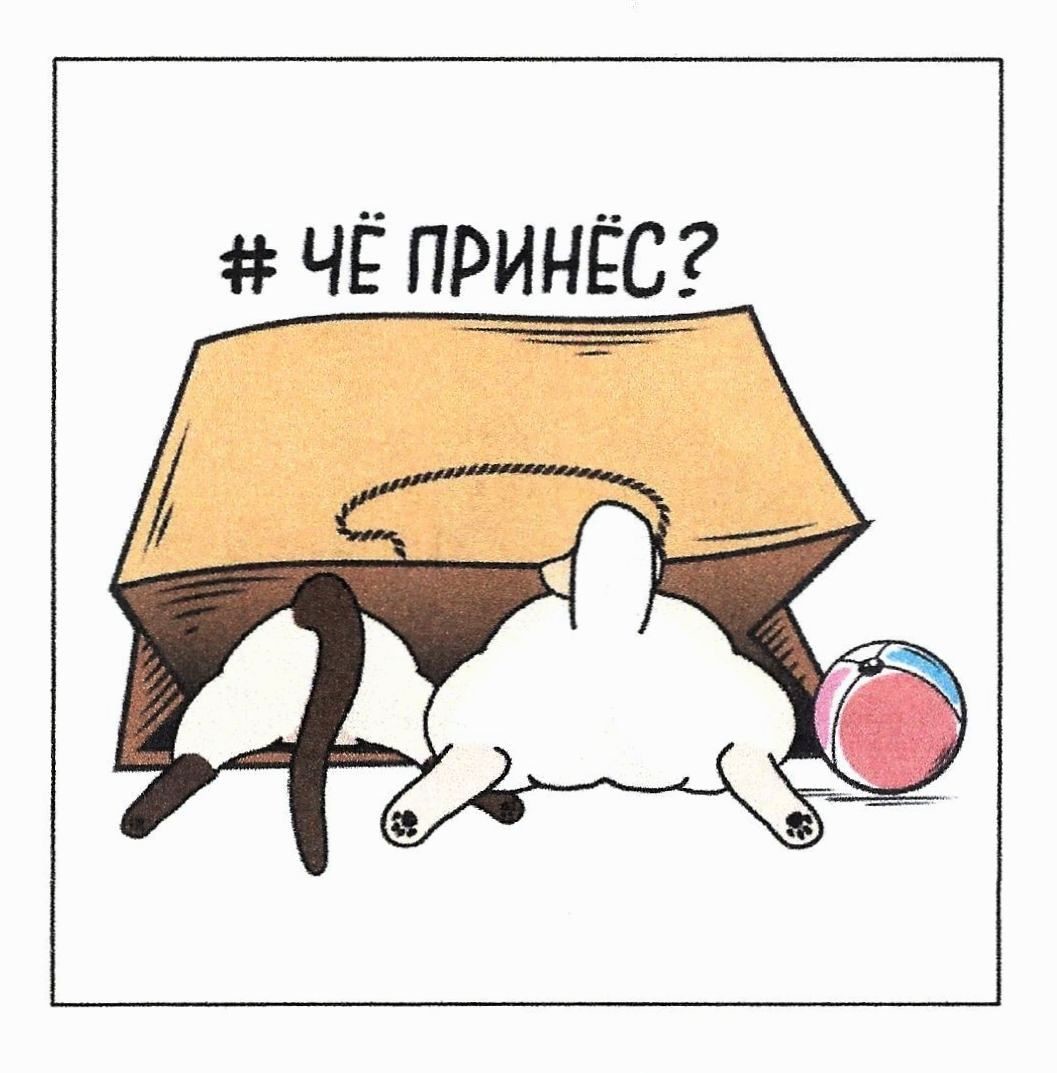 # чё принёс?