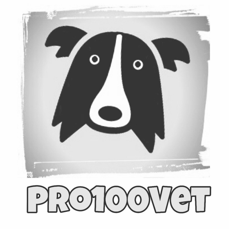 pro100vet