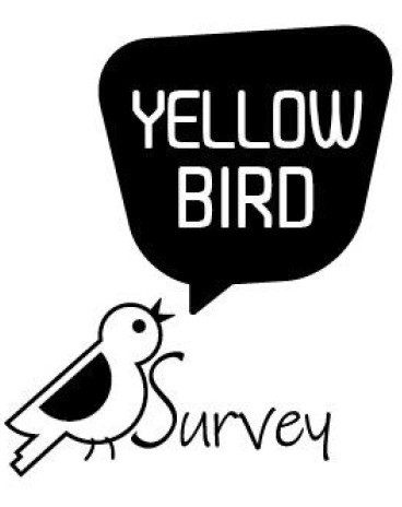 yellow bird