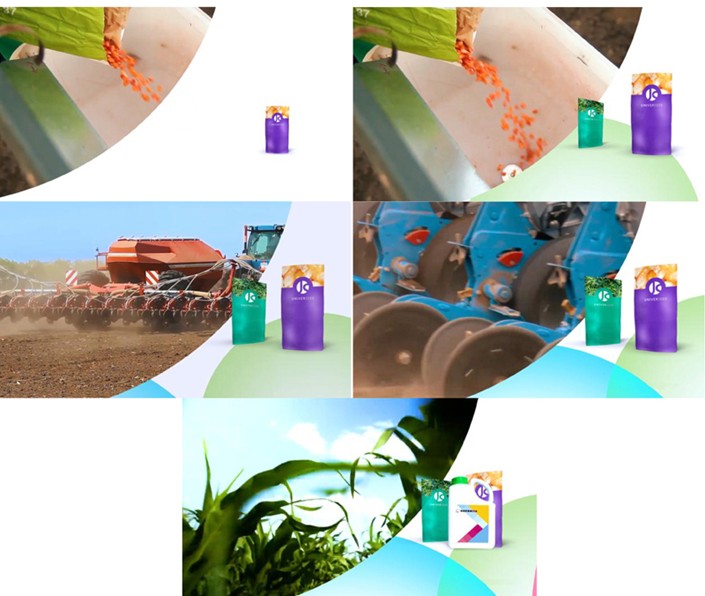 universeed