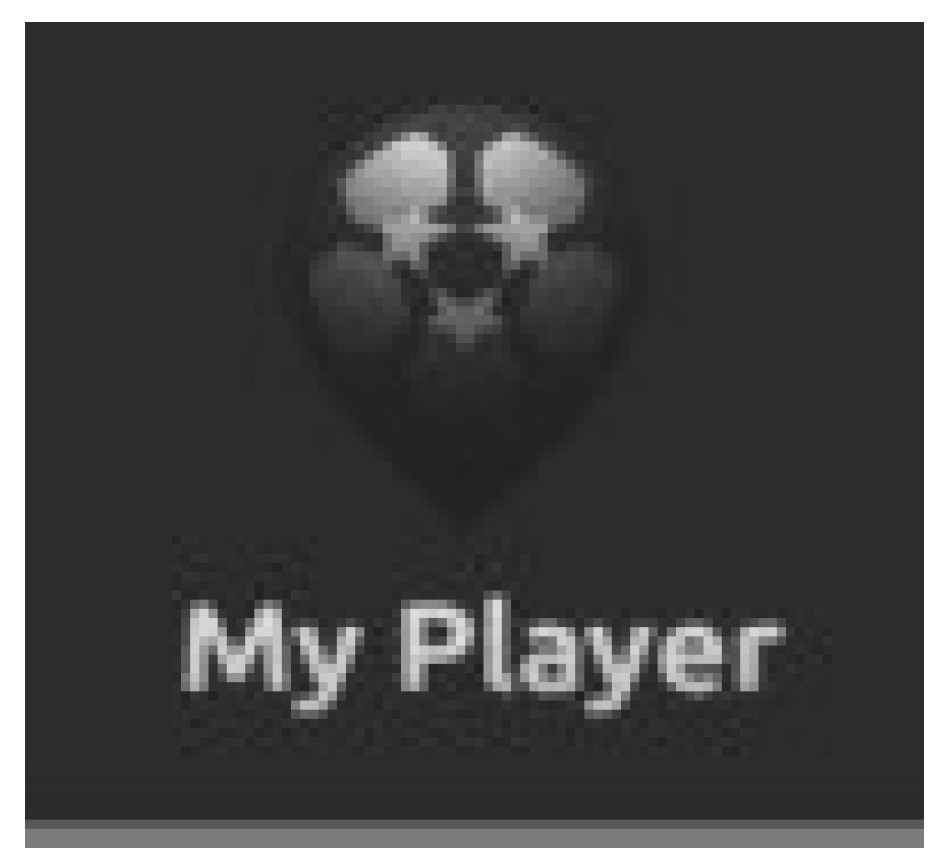 my player