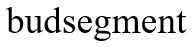budsegment