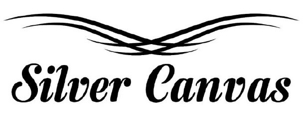 silver canvas