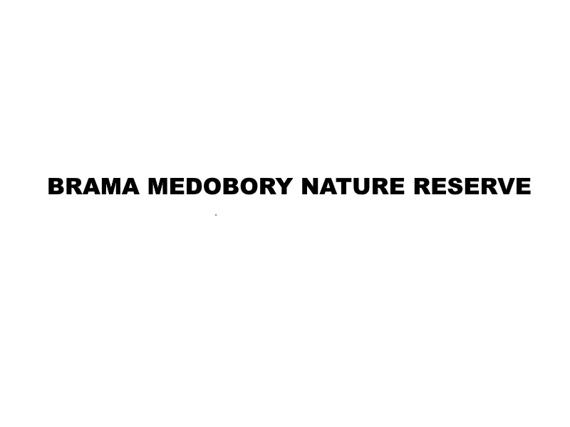 brama medobory nature reserve