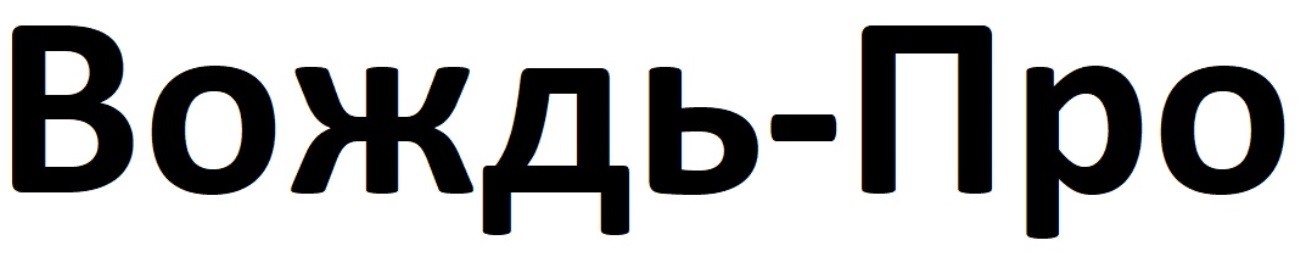 вождь-про