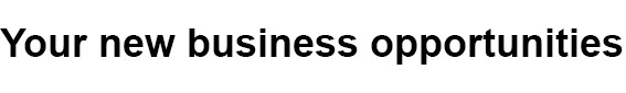 your new business opportunities