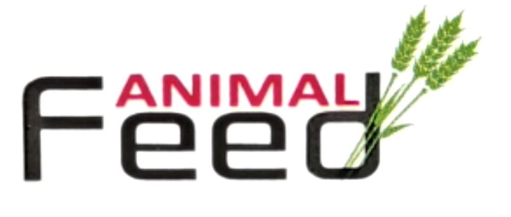 animal feed